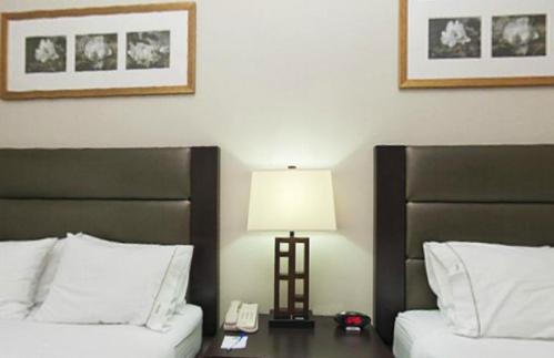 Holiday Inn Express Hotel & Suites Ottawa Airport By Ihg Rum bild